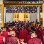 Buddhist monks praying in the Dalai Lama Temple, McLeod Ganj, Dharamsala, India