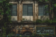Old building facade with nature