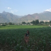 Anna in the fields with mountains in the background