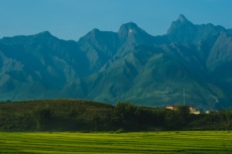 Field and mountain landscape