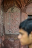 Red Fort details, Old Delhi, India