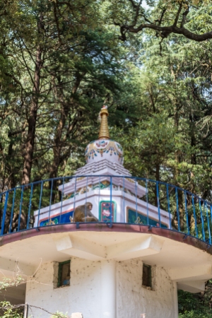 Detail of Temple in Dharamsala, India