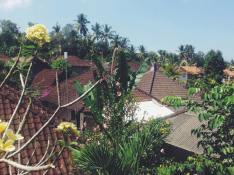 View from Wijaya Home Stay in Ubud, travel to Indonesia