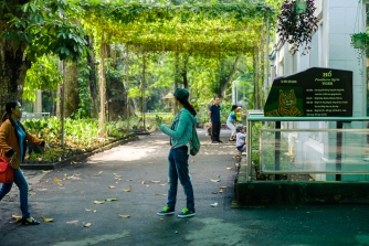 Saigon Zoo, Vietnam